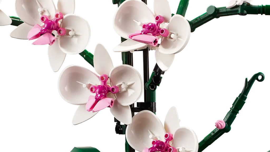 LEGO® Orchid (10311) – Botanical Collection Flower Display