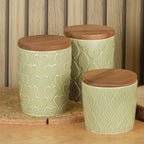 Green House Oval Leaf Store Jar With Rustic Acacia Lid - Flemings Department Store
