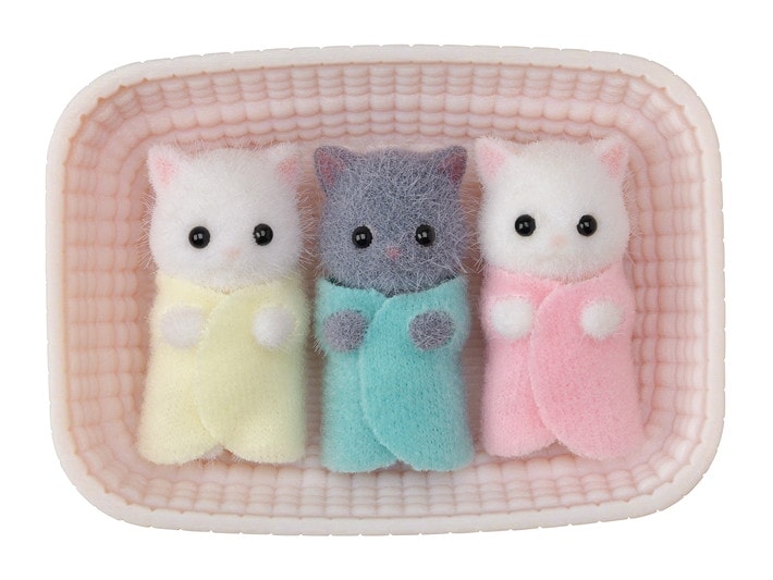 Persian Cat Triplets - Flemings Department Store