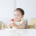 Quark  - Fruuti Silicone Baby Fruit Feeder
