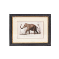 Mindy Brown Elephant Print - Vintage-Style Framed Art