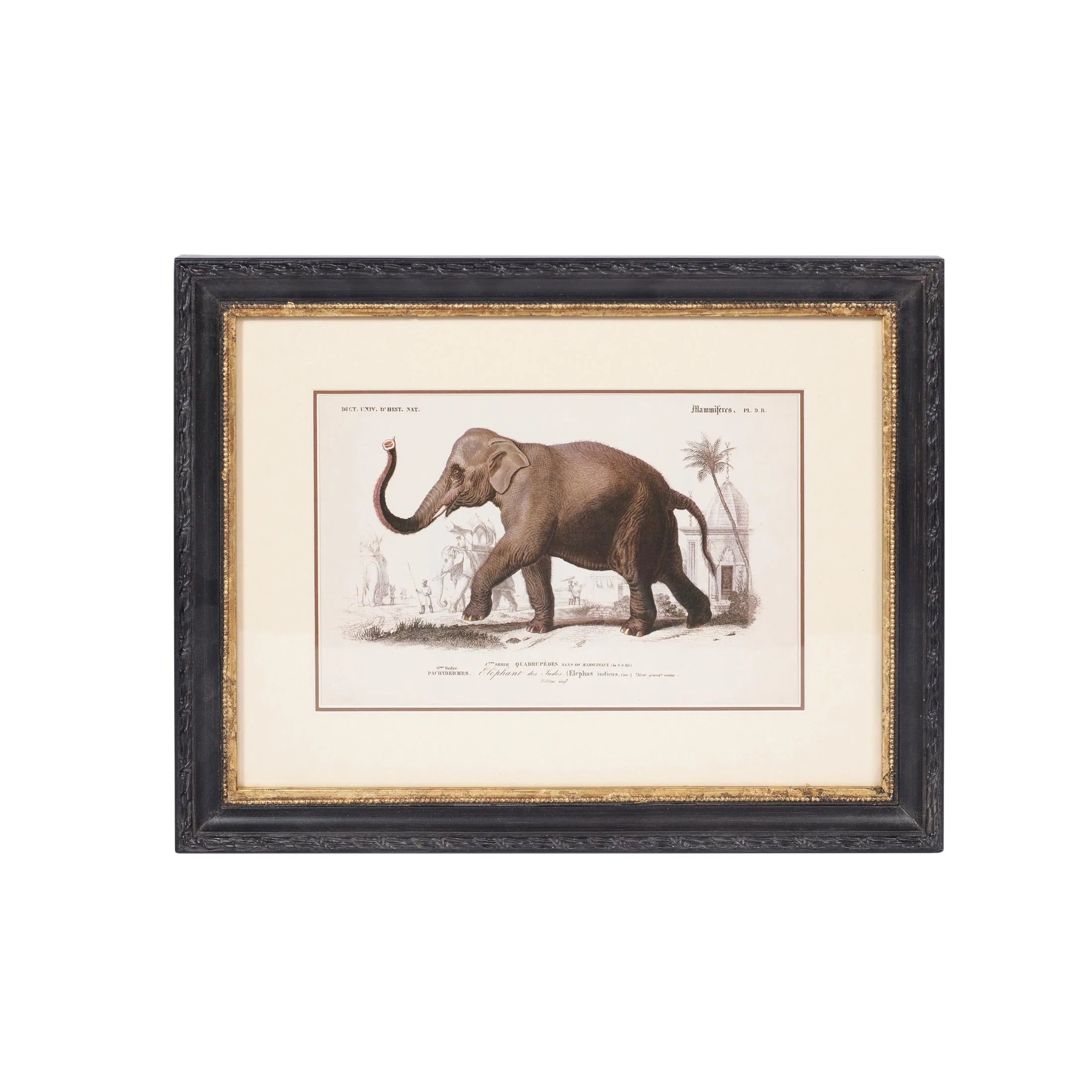 Mindy Brown Elephant Print - Vintage-Style Framed Art