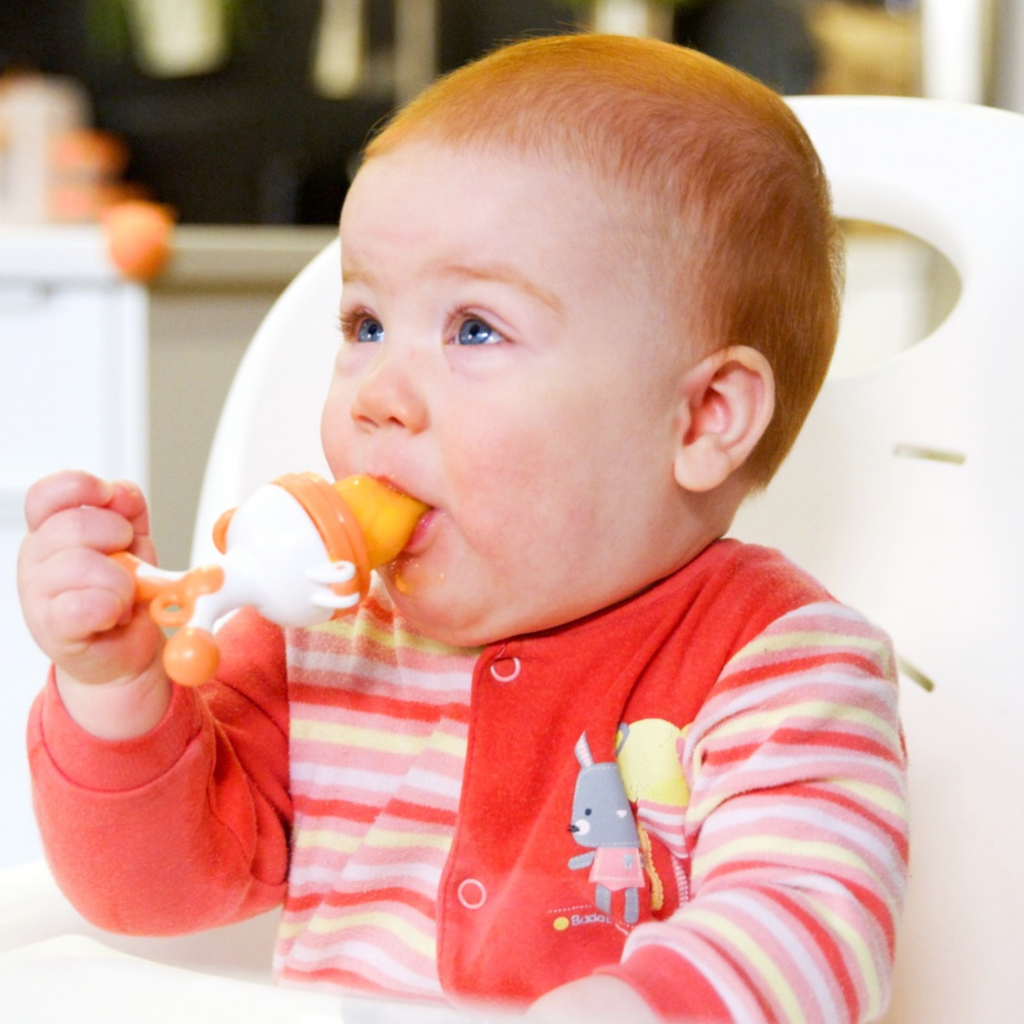 Quark  - Fruuti Silicone Baby Fruit Feeder