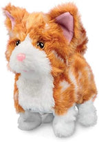 ANIMIGOS GINGER KITTEN - Flemings Department Store