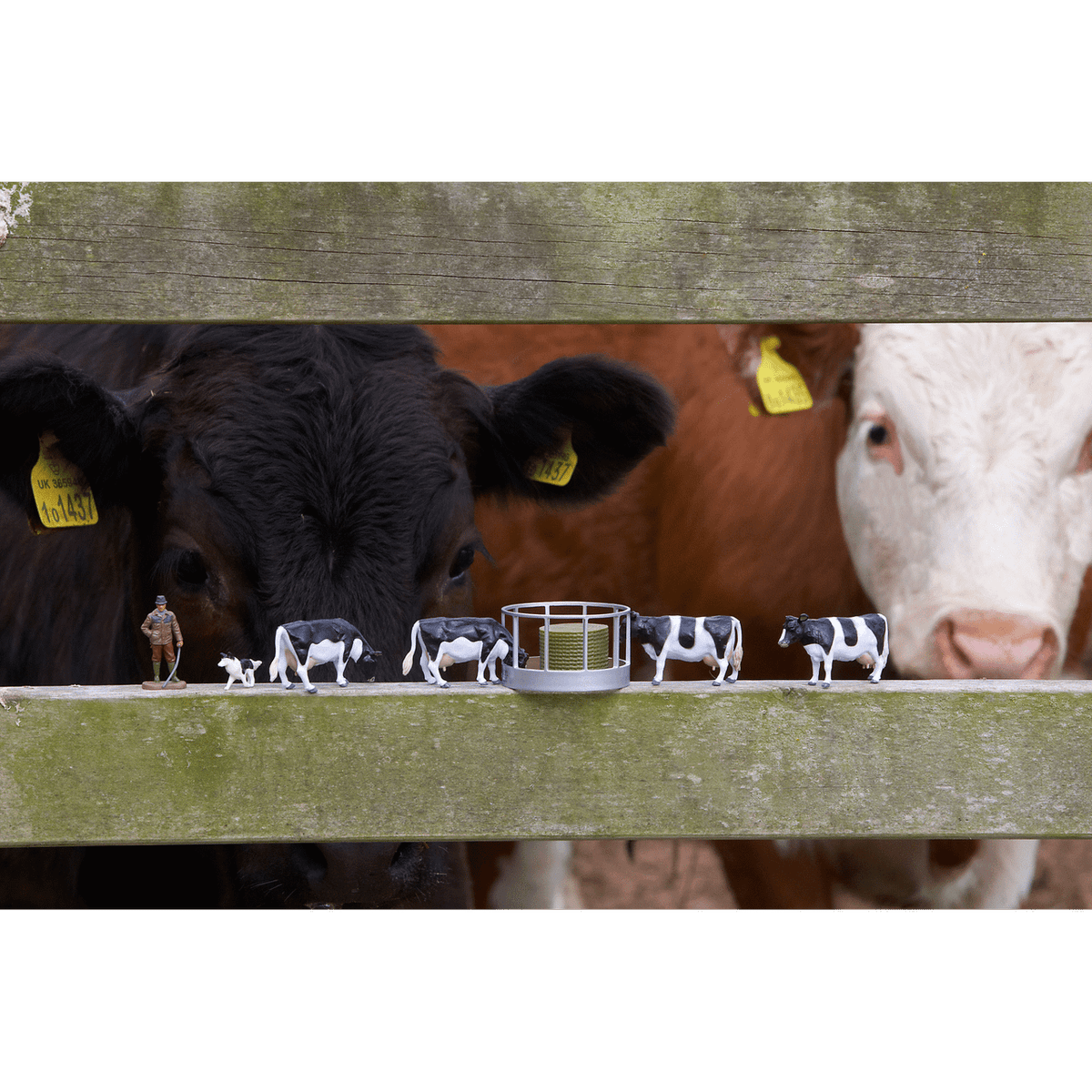Britains Cattle Feeder Set 1:32 – view 3