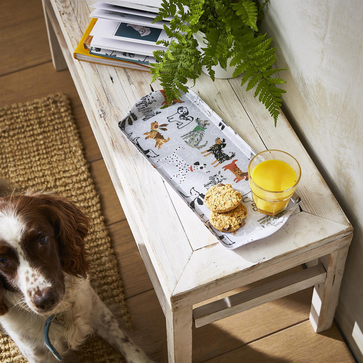 Dog Days Tray - Small One Size in Grey - Flemings Department Store