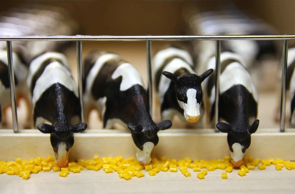 Model cows in a row with a metal barrier and yellow feed on a wooden floor.
