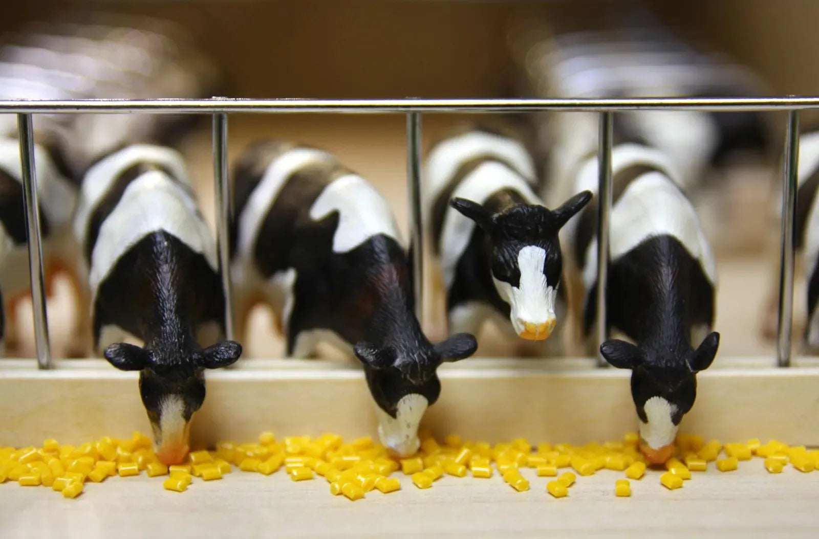 Model cows in a row with a metal barrier and yellow feed on a wooden floor.