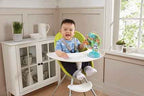 Sing-Along Spinning Wheel
