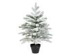 Everlands Grandis Mini Snowy Christmas Tree, frosted finish, available in 2 ft (60 cm) and 3 ft (90 cm), no assembly, pot base