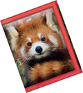 Deluxebase LiveLife 3D Wallet | Fun Kids Wallet