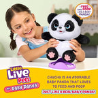 Little Live Pets My Baby Panda ChuChu – 50+ Sounds & Reactions