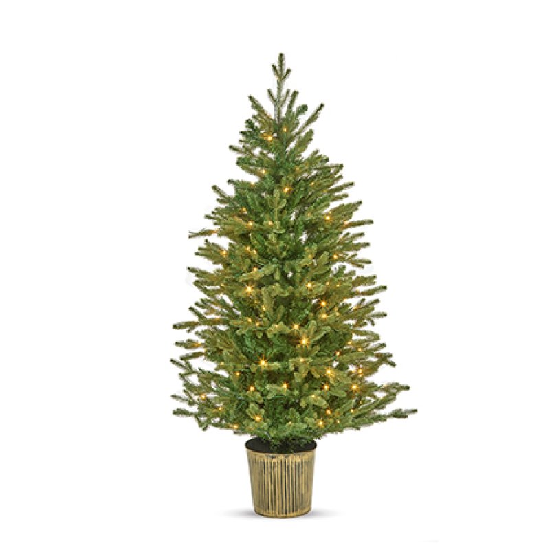 Premier 1.5m (5ft) Pre-Lit Potted Eldon Fir Christmas Tree, 180 LED