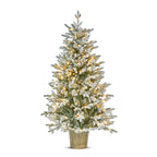 Premier 1.5m (5ft) Pre-Lit Flocked Potted Eldon Fir Tree, 180 LED