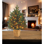 Premier 60cm FireBrights Pre-Lit Table Tree, 60 Warm White LED & Timer – view 2