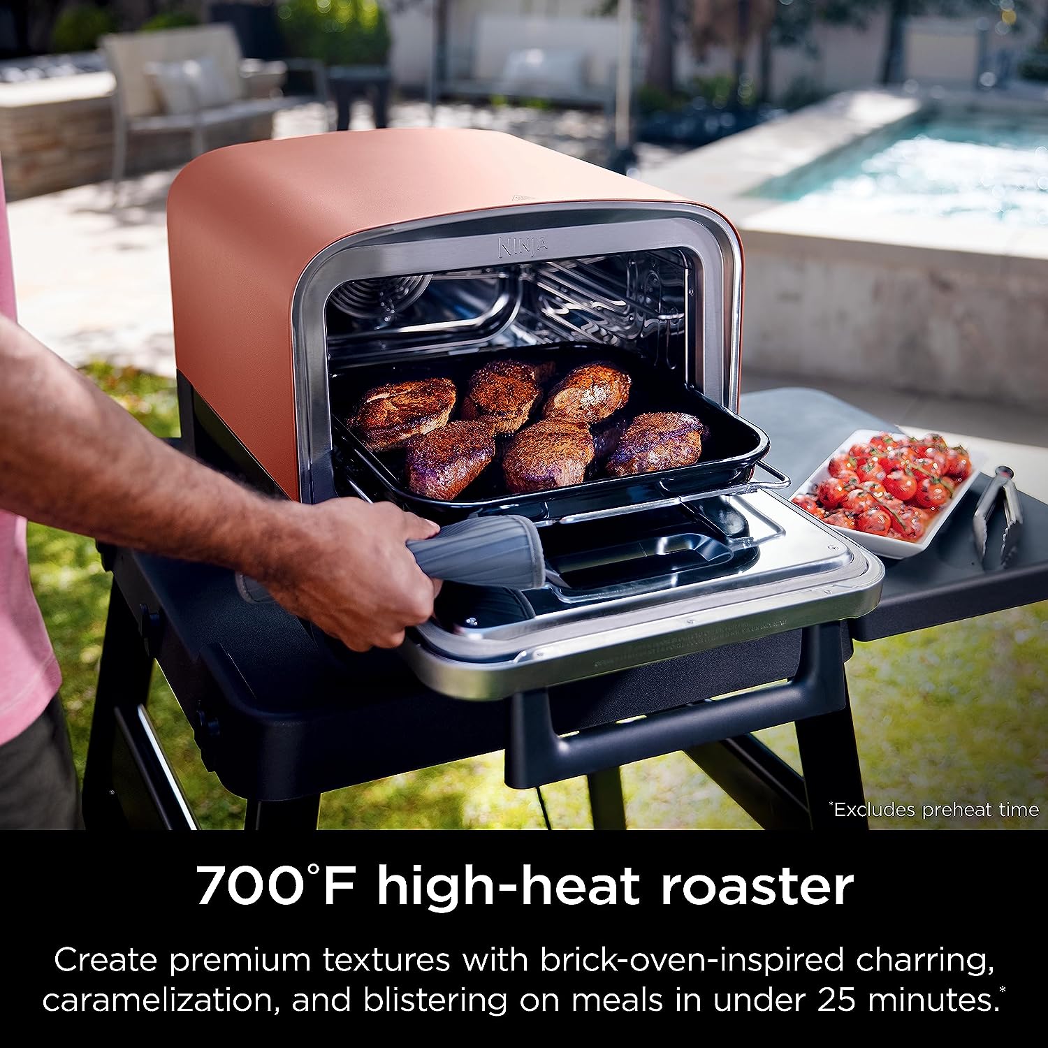 Ninja Woodfire Electric Outdoor Oven, Artisan Pizza Maker and BBQ Smoker OO101UK