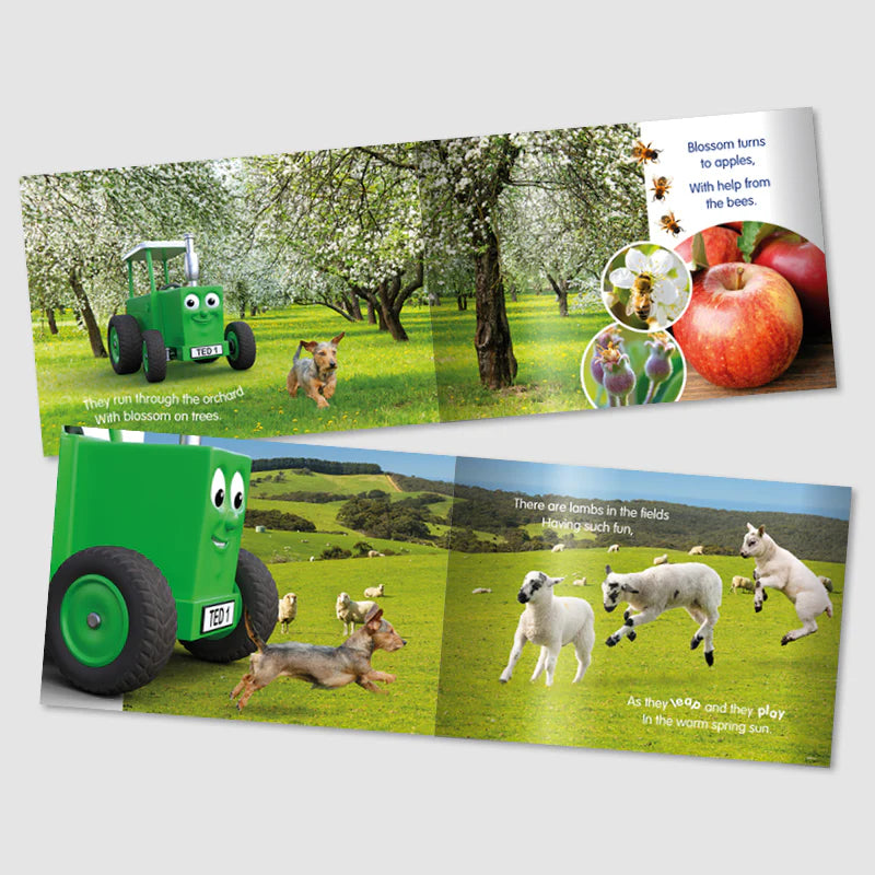 Tractor Ted A Spring Day Storybook | Farm Book for Toddlers