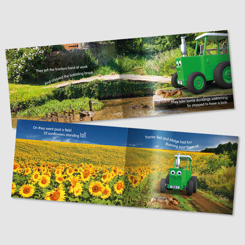 A Summer’s Day Storybook (Tractor Ted) | Hay, Harvesters & Farm Fun