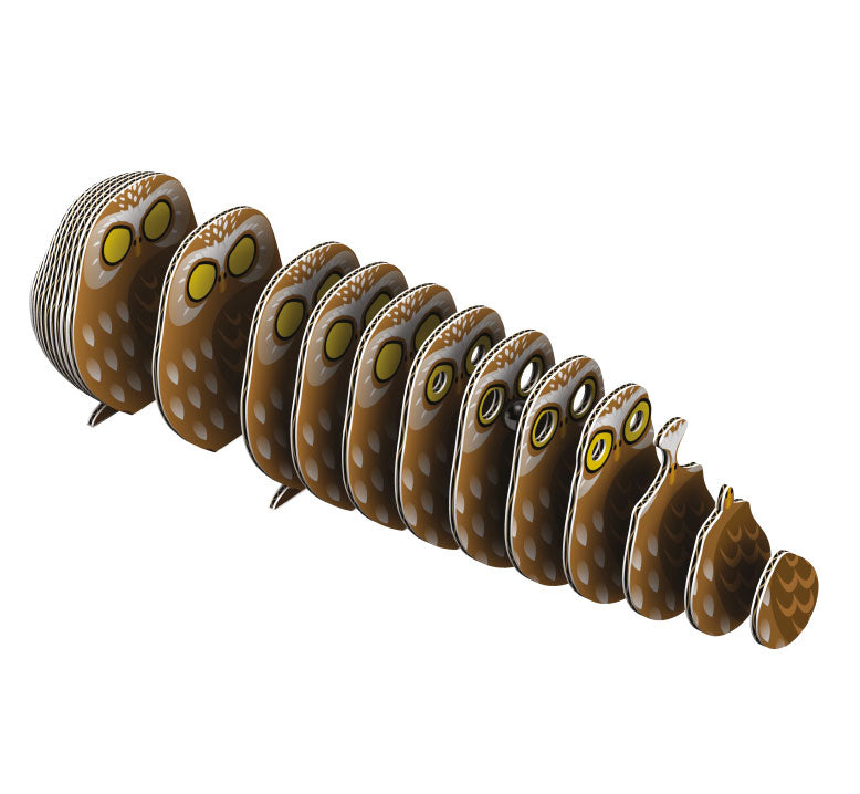EUGY Owl 3D Puzzle