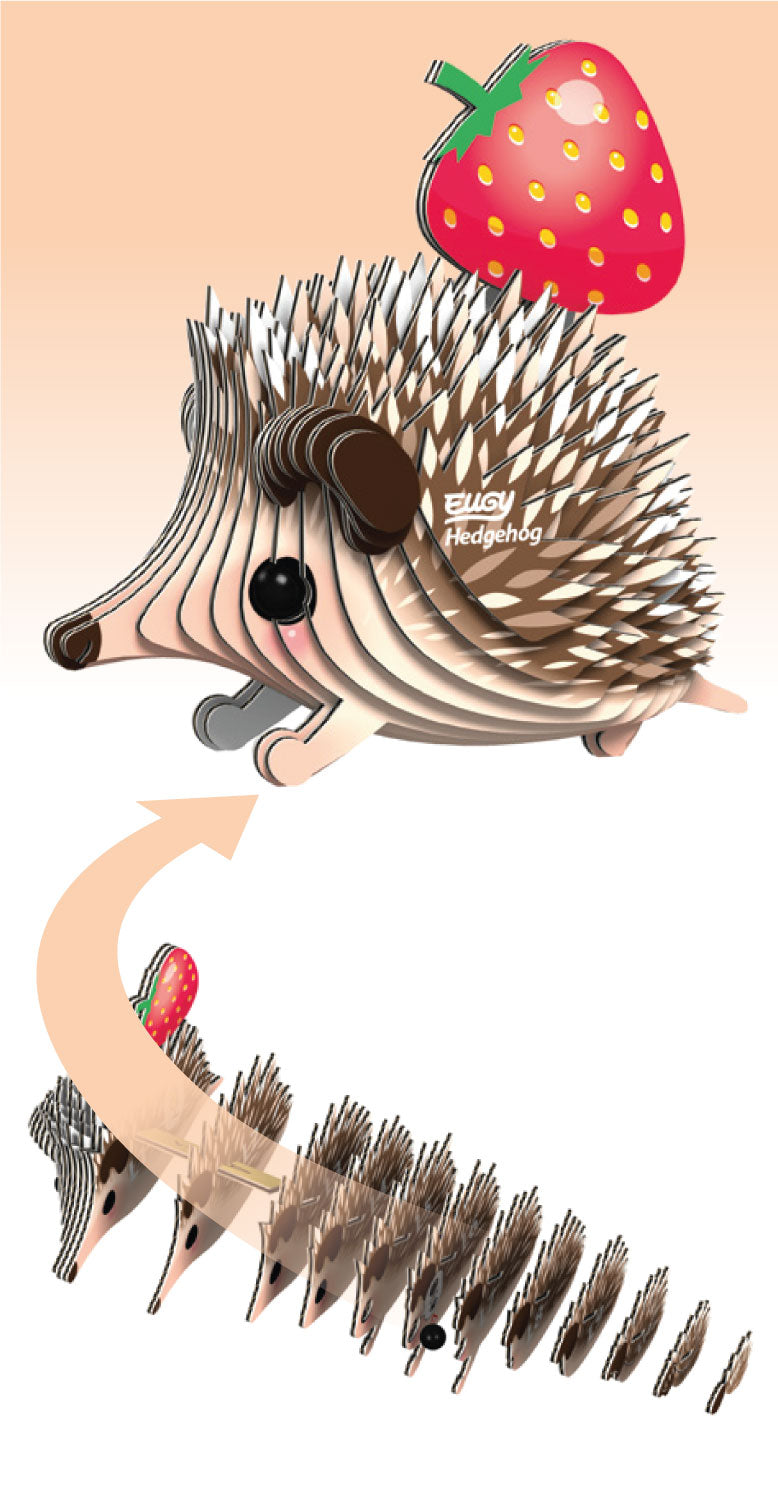 EUGY Hedgehog 3D Puzzle