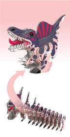 EUGY Spino 3D Puzzle