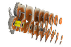 EUGY Squirrel 3D Puzzle