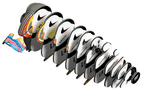 EUGY Puffin 3D Puzzle