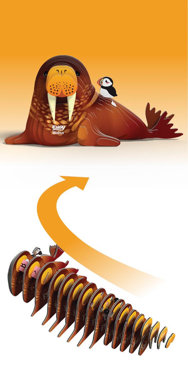 EUGY Walrus 3D Puzzle