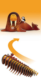 EUGY Walrus 3D Puzzle