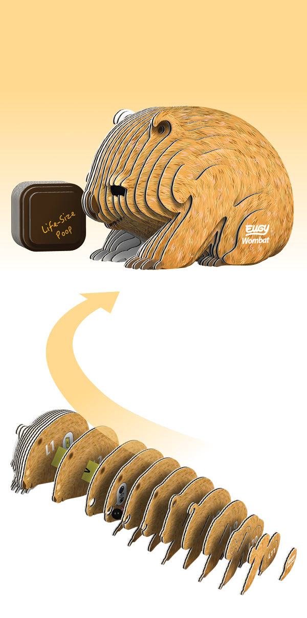 EUGY Wombat 3D Puzzle