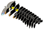EUGY Black Bear 3D Puzzle