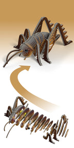 EUGY Giant Weta 3D Puzzle
