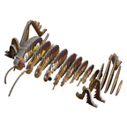 EUGY Giant Weta 3D Puzzle