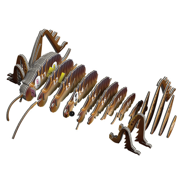 EUGY Giant Weta 3D Puzzle