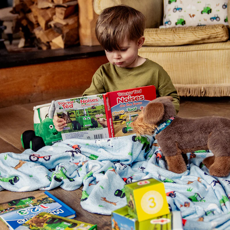 Tractor Ted First Noises Board Book | Pre-School Learning