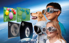 See the World Through Others' Eyes