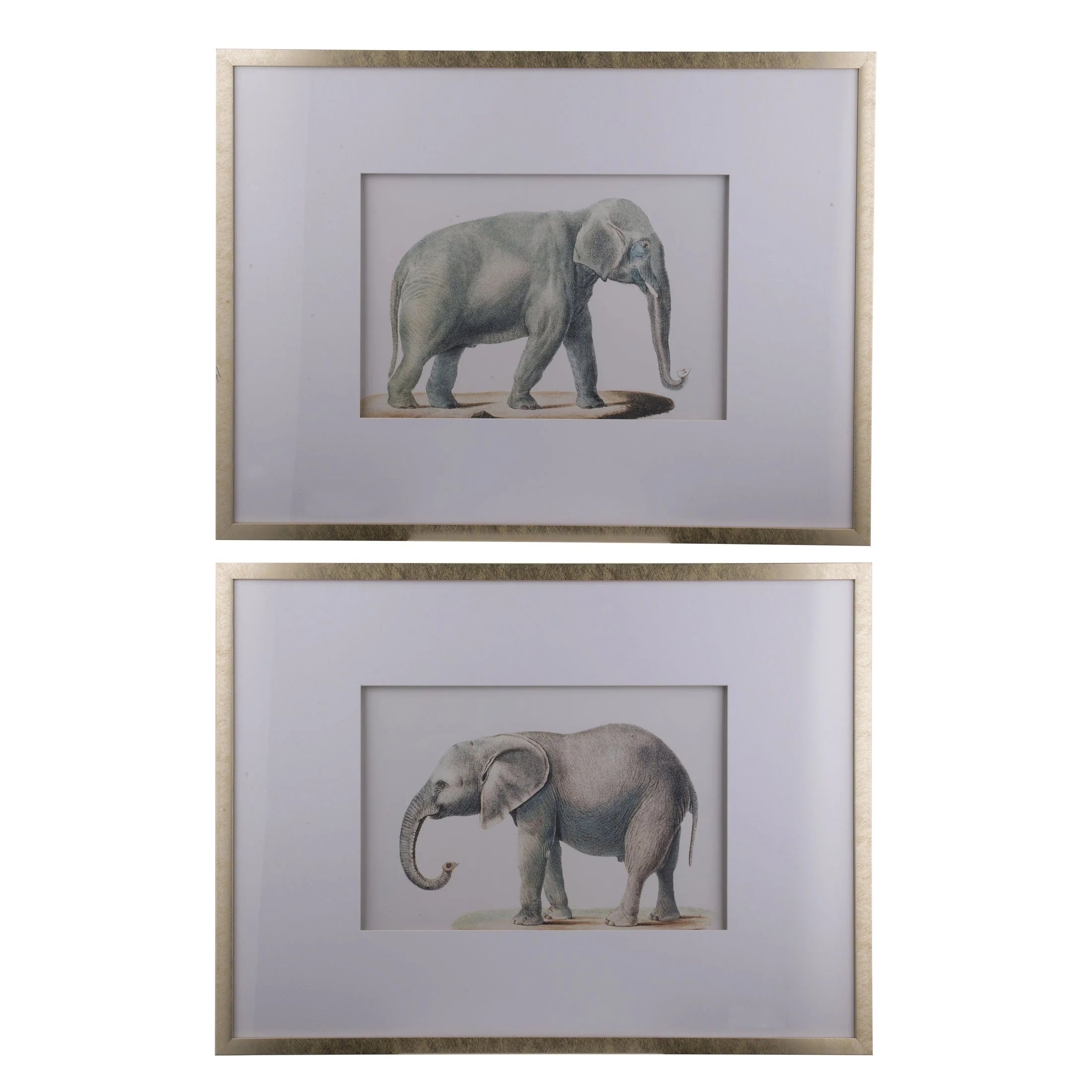 Mindy Browne Elephant Set of 2 Pictures | Framed Wall Art