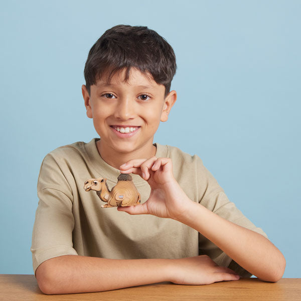 EUGY Camel 3D Puzzle