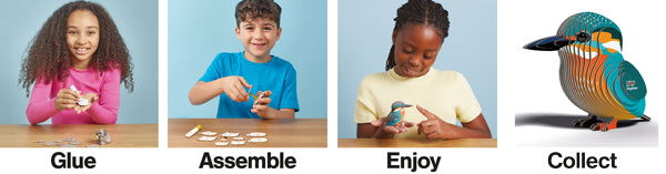 EUGY Kingfisher 3D Puzzle