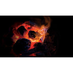 Kamado Joe Hardwood Extra Large Lump Charcoal 9KG - Flemings Department Store