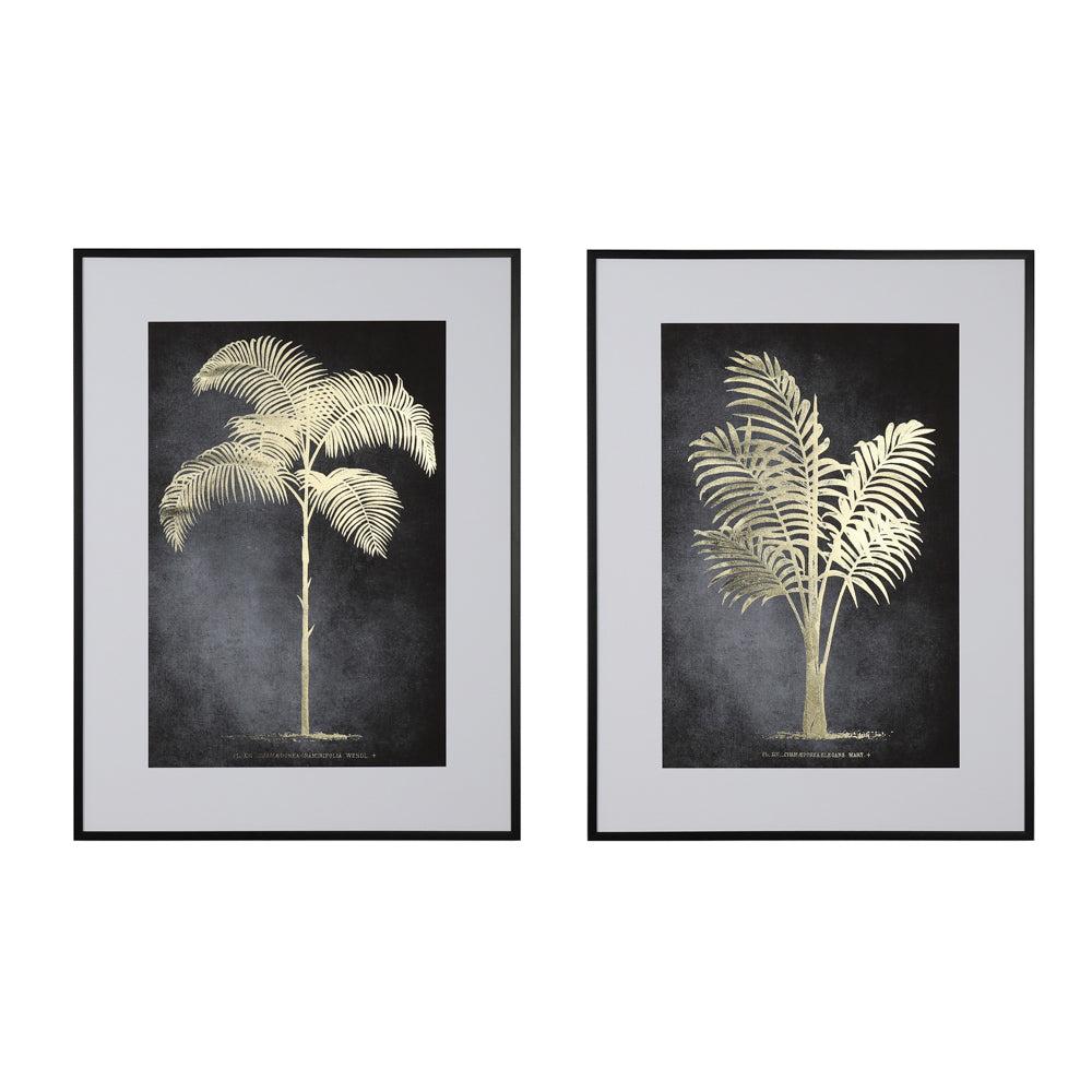 Framed print indica palm 60 x 80cm 2 asst - Flemings Department Store