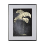 Framed print indica palm 60 x 80cm 2 asst - Flemings Department Store