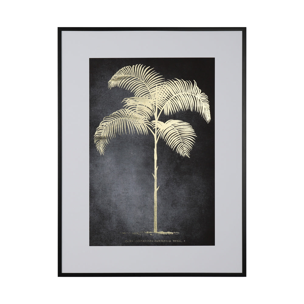 Framed print indica palm 60 x 80cm 2 asst - Flemings Department Store
