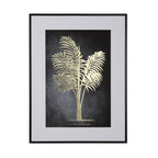 Framed print indica palm 60 x 80cm 2 asst - Flemings Department Store