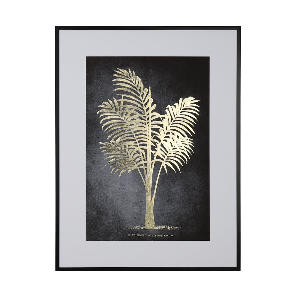 Framed print indica palm 60 x 80cm 2 asst - Flemings Department Store