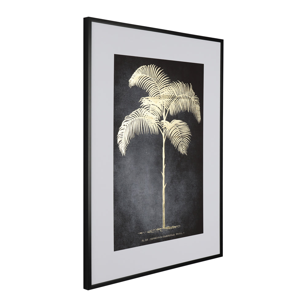 Framed print indica palm 60 x 80cm 2 asst - Flemings Department Store