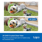 Tapo C420S2 Wire-Free 2K Security Cameras – 2-Pack, Night Vision, AI
