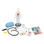 Glowing phosphorescent skeleton model in the dark.