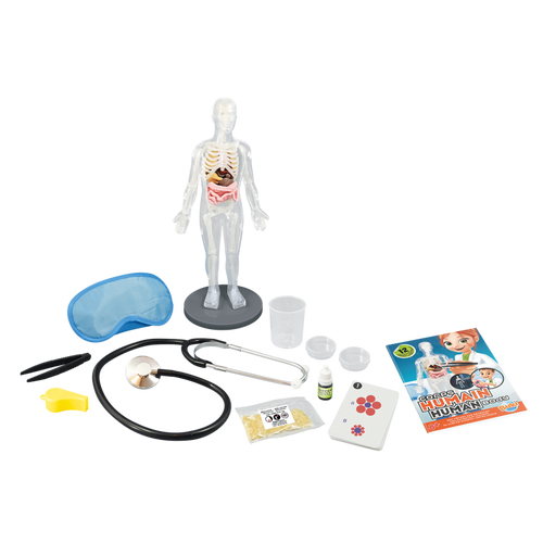 Glowing phosphorescent skeleton model in the dark.