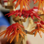 LEGO Japanese Red Maple Bonsai Tree 10348 – product image 9
